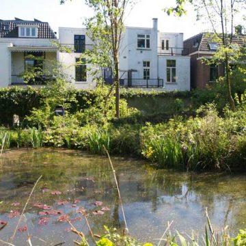 De tuinen in het Spijkerkwartier ontdekken