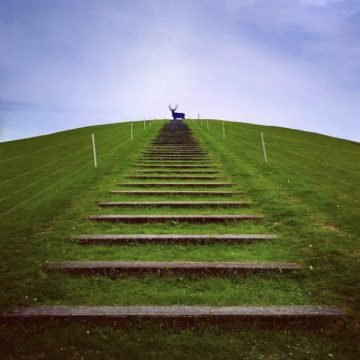 Wandeltocht naar 't Rijnhert