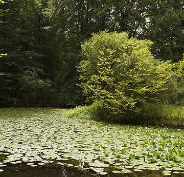 Ontdek de Gelderse kastelen