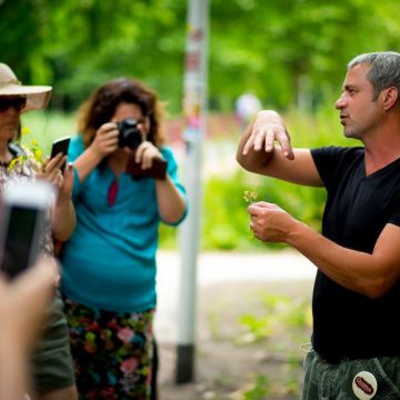 Wildplukken in Sonsbeek