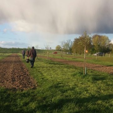 Boomgaard De Steenen Camer