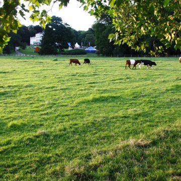 Sonsbeek, de DWDD hotspot!