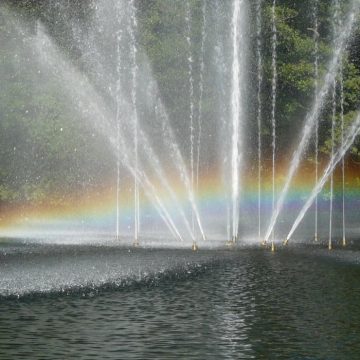 Op expeditie zonder gids