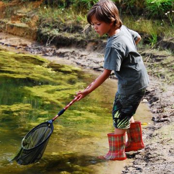 Kinderactiviteiten Natuurcentrum Arnhem